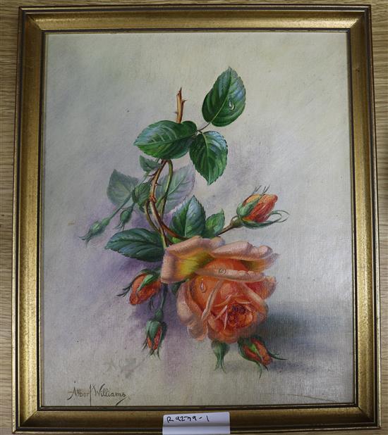 Albert Williams, oil on canvas board, Study of a rose, signed, 30 x 25cm